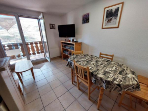 2P spacieux avec balcon, proche des pistes, animaux acceptés - FR-1-516-60 Les Deux Alpes